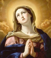 Solemnity of the Immaculate Conception - Holy Day of Obligation