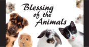 Blessing of the Animals @ St. Margaret Shrine | Bridgeport | Connecticut | United States