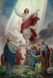 Solemnity of the Ascension of the Lord - Holy Day of Obligation